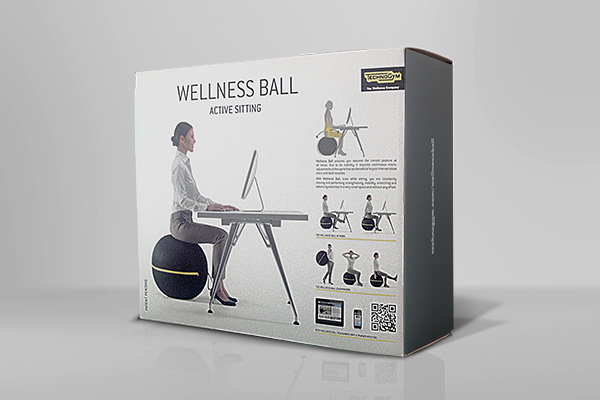 Technogym Wellness Ball active sitting