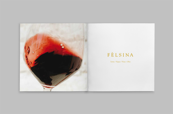 Felsina Brochure