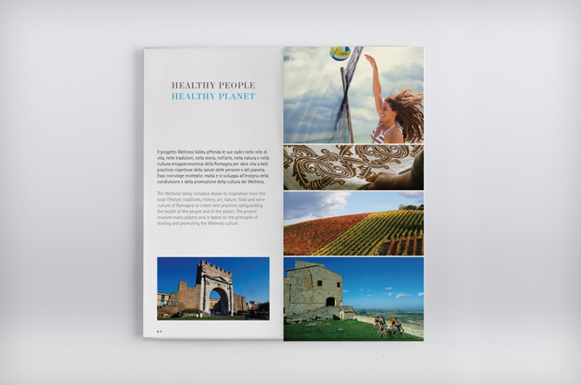 Wellness foundation book wellness valley healthy people healthy planet