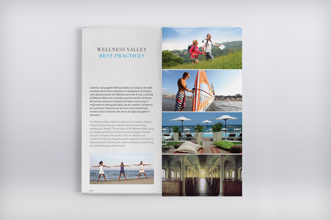 Wellness foundation book wellness valley best practices