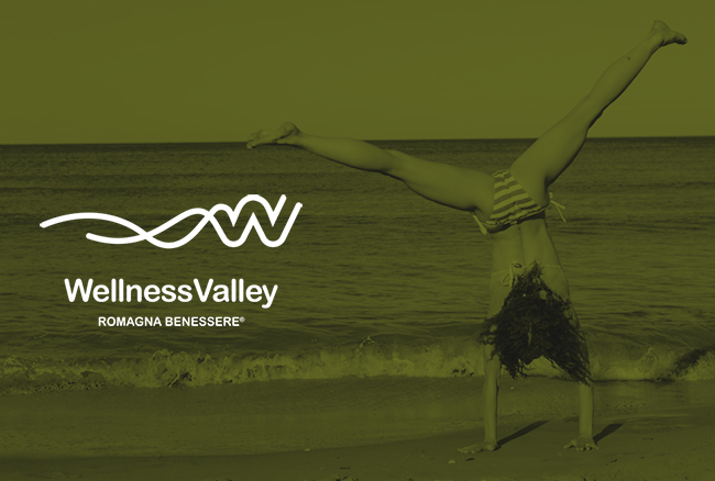 Wellness Valley visual identity
